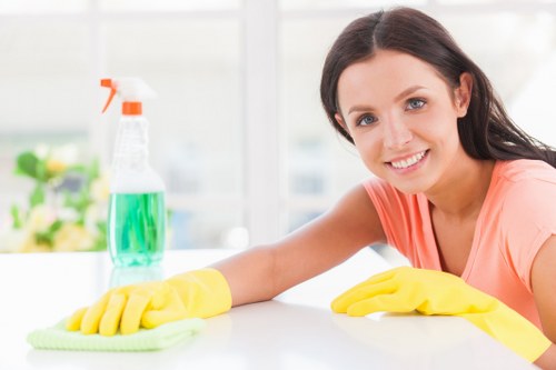 Cleaner carrying out domestic cleaning in a Croydon home
