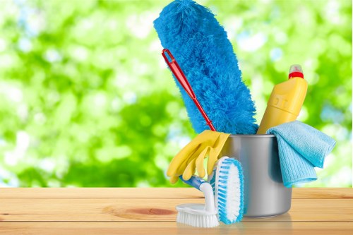 Residential carpet cleaning in a Croydon family home