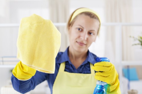 Croydon cleaners working on a one time property refresh