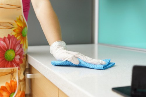 Professional oven cleaner servicing a kitchen in Croydon