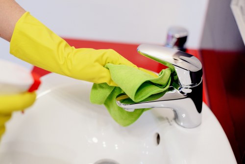 Move-out cleaning checklist and cleaning supplies for a Croydon tenancy