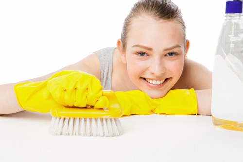 Professional oven cleaning service for a Croydon home kitchen