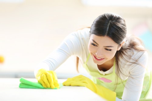 Professional glass cleaning for a local Croydon home