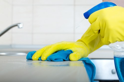 Final check of a cleaned oven with health and safety emphasis