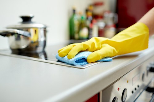 Local oven cleaning for flats and family homes in Croydon