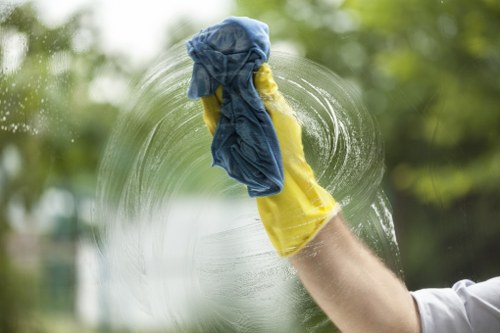 Local Croydon deep cleaning service for bathrooms and limescale removal