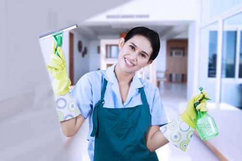Continuous improvement and ethical standards in Croydon oven cleaning