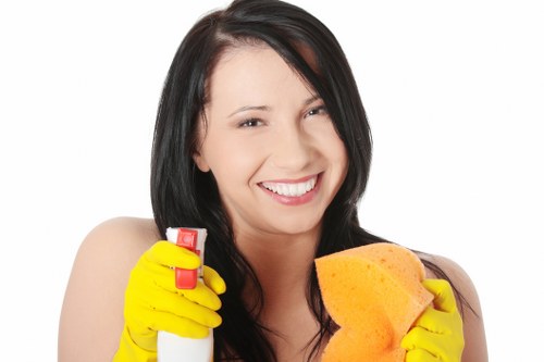 Commercial window cleaning for a business in Croydon