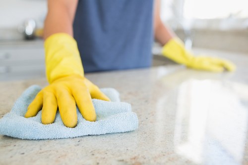Croydon oven cleaner preparing a kitchen appliance for use
